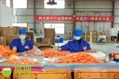 火爆！天貓雙十一小家電銷量巨增，日用百貨掀起消費熱潮